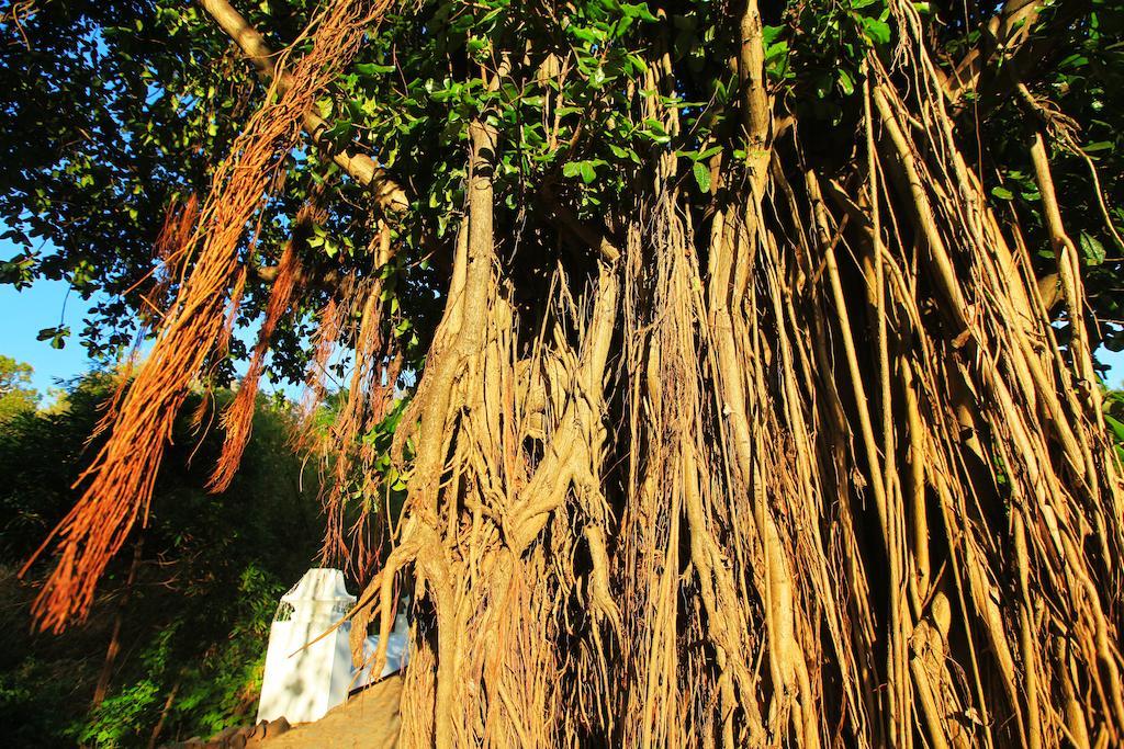 Pousada Do Vale Fernando de Noronha Dış mekan fotoğraf