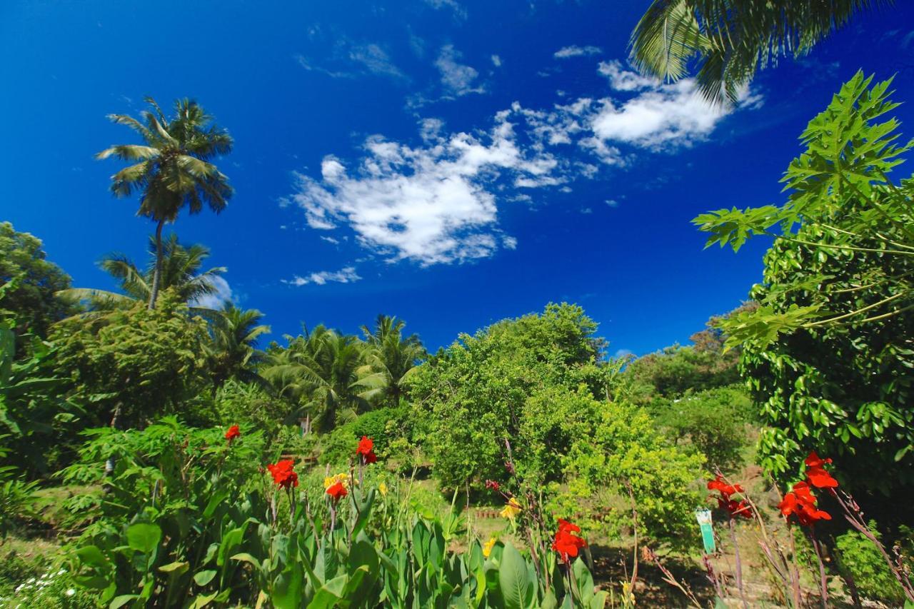 Pousada Do Vale Fernando de Noronha Dış mekan fotoğraf